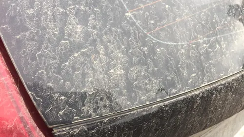 Perpignan : pour qu'elles brillent il faudra attendre